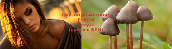 молекула духа Армянск