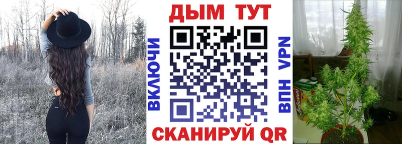 где купить наркоту  Покачи  Марихуана сатива 